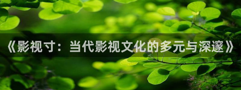 飘雪影院在线观看免费高清电影：《影视寸：当代影视文化的多元与深邃》