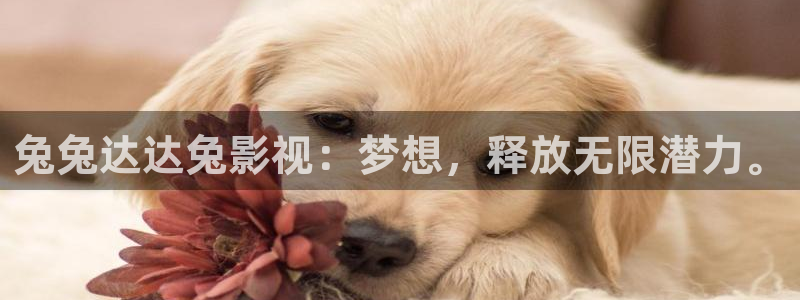 飘雪影院手机在线观看：兔兔达达兔影视：梦想，释放无限潜力。