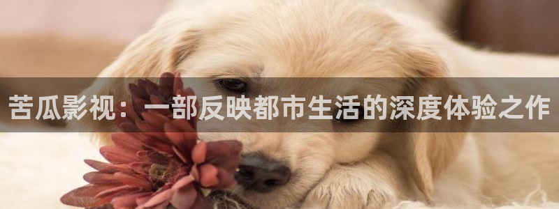 飘雪影院手机在线观看：苦瓜影视：一部反映都市生活的深度体验之作