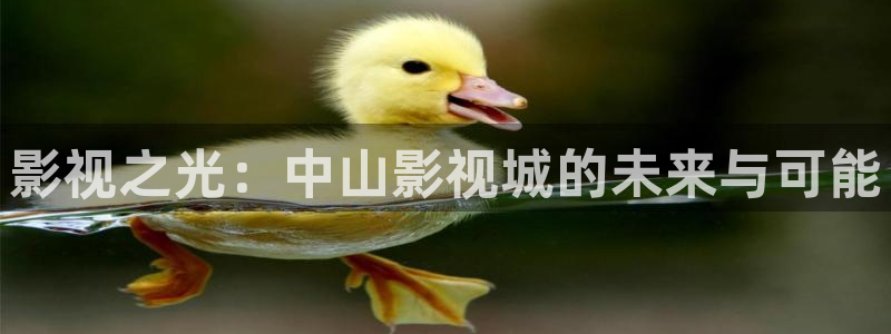 飘雪影院手机电影在线观看：影视之光：中山影视城的未来与可能
