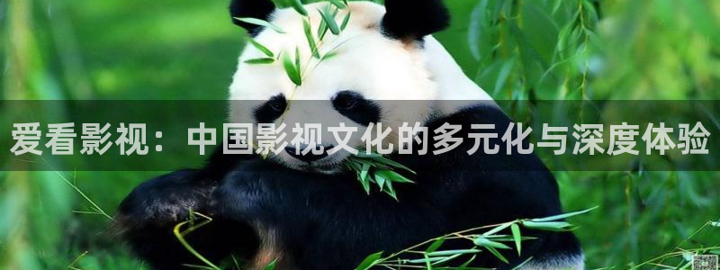飘雪影院大全免费观看：爱看影视：中国影视文化的多元化与深度体验