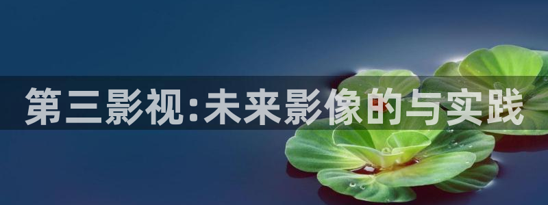 飘雪影院动漫在线观看：第三影视:未来影像的与实践