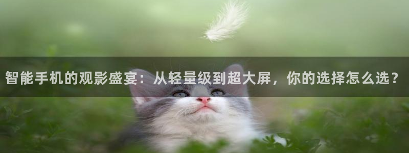 飘雪影院官网：智能手机的观影盛宴：从轻量级到超大屏，你的选择怎么选？