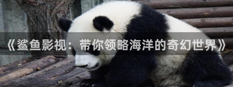 飘雪影院在线观看完整版高清：《鲨鱼影视：带你领略海洋的奇幻世界》