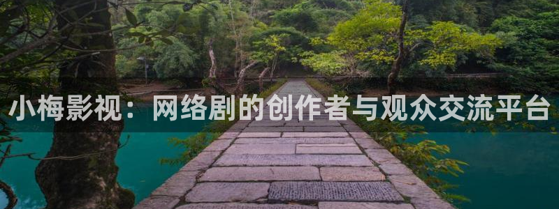 飘雪影院免费观看电视剧电影狂：小梅影视：网络剧的创作者与观众交流平台
