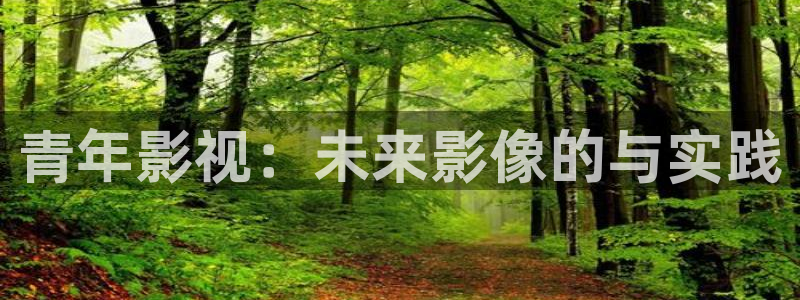 飘雪影院完整版在线观看视频：青年影视：未来影像的与实践